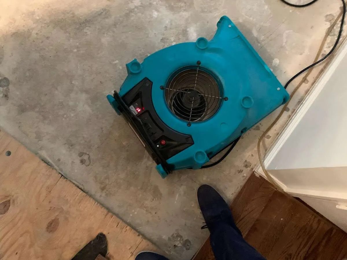 Air mover drying subfloor during Leak Detection & Repair in Sunset